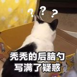 表情包1.jpg