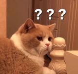 表情包5.jpg
